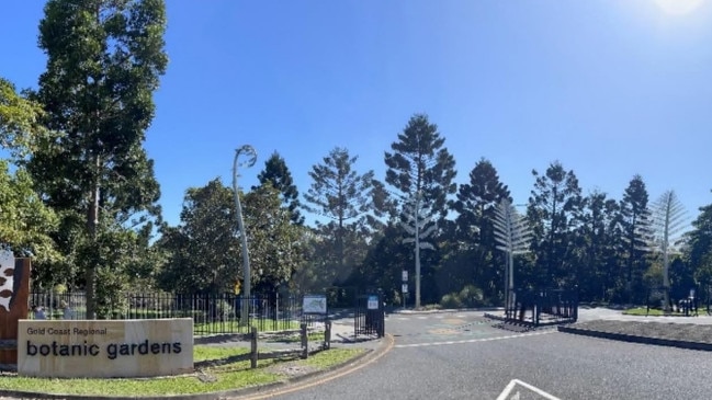 The controversial New Zealand ferns. The art installation may now feature at the entrance to the Gold Coast botanical gardens.