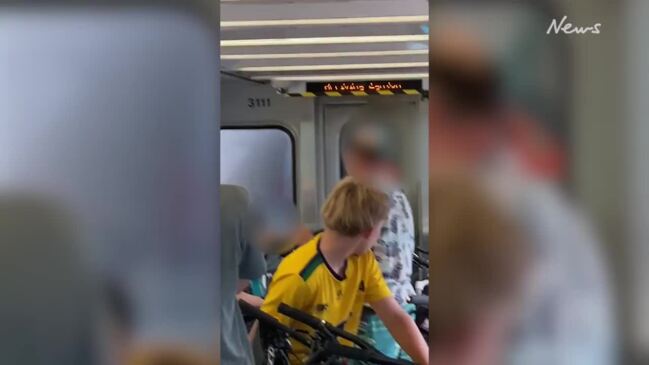 Teacher stood down after shoving teen boy on train