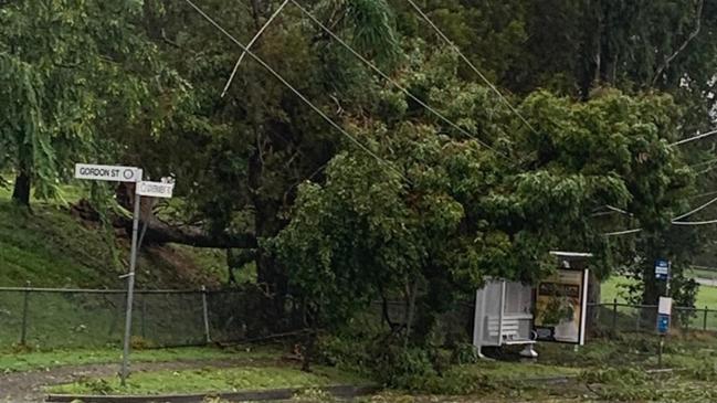 Cyclone Alfred winds and rain have felled power lines outside the Labrador Primary School in Gordon Street, on Queensland’s Gold Coast.