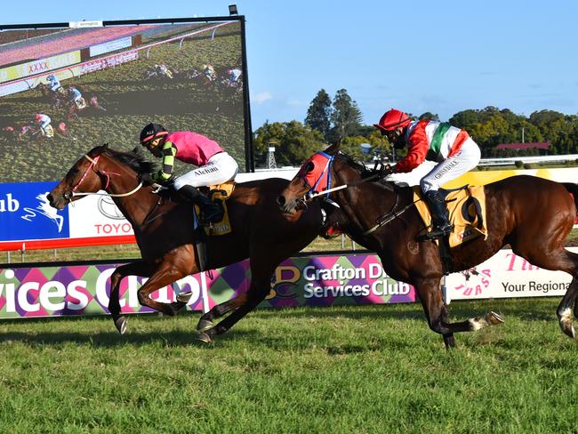 Boyles, ridden by Allan Chau and trained by Scott Henley, has charged home to victory at the 2021 Maclean Bowling Club Maclean Cup.