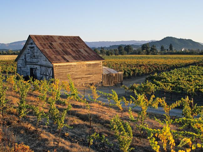 "A farmhouse surrounded by the vineyards of Dry Creek Valley (Sonoma County, California)."Escape 9 July 2023Destination - California cheese trailPhoto - Getty Images