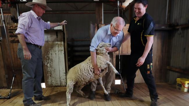 Prime Minister Scott Morrison tries his hand at shearing a sheep, with help from shearer James Amey, right, at a drought-stricken farm outside of Dubbo. Picture: Gary Ramage