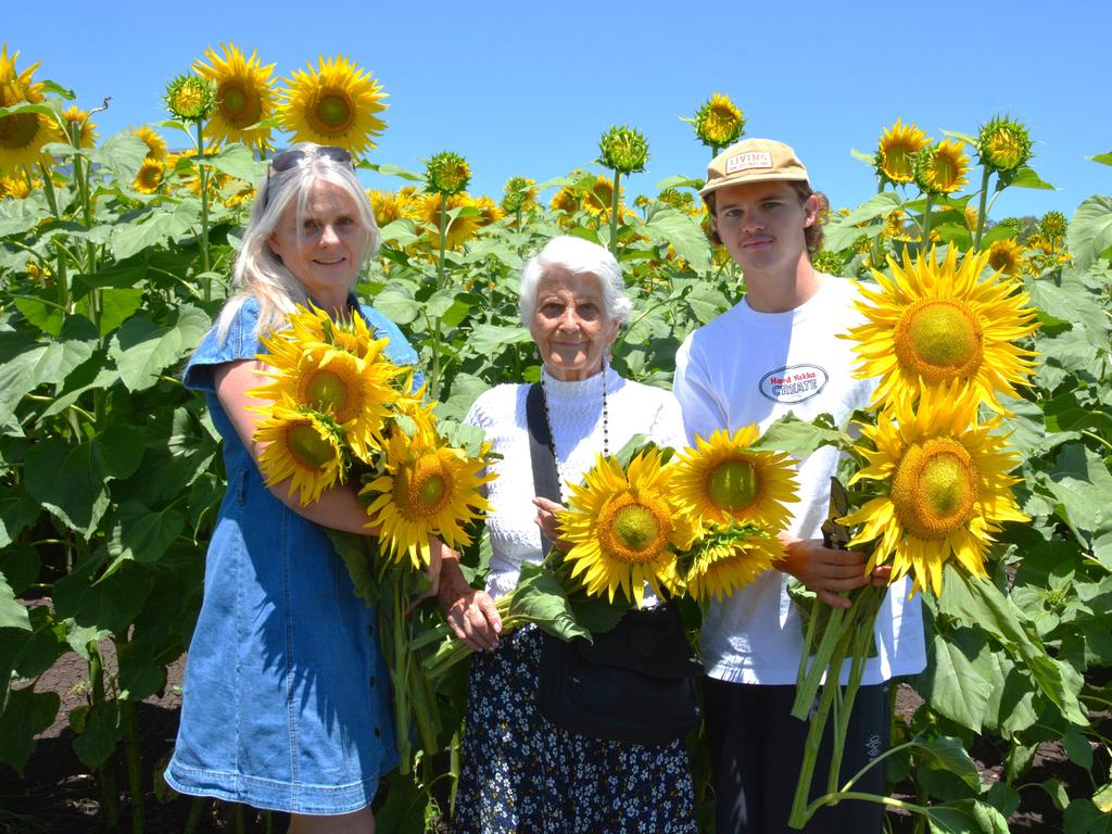 Lilyvale Flower Farm's impressive sunflower crop saw dozens flock to the sunny fields, including (from left) Sue Edwards, Lotte Schubert and Harrison Edwards on Sunday, December 22, 2024. Photo: Jessica Klein