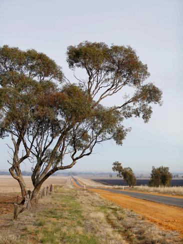 Jo Wheaton. farms with her husband Vern at Broughton. Picture: Chloe Smith