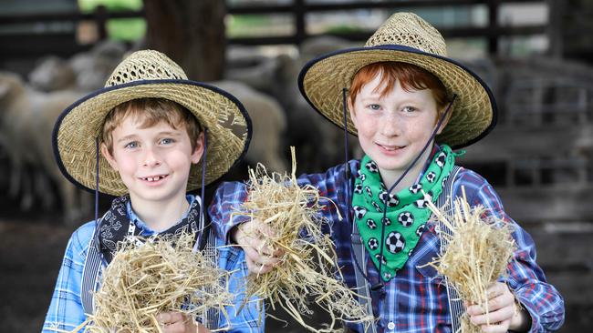 ADV SSS NEWSBrothers Toby and Ethan Hall held a fundraiser last year and contributed almost $10,000 worth of hay to farmers in need amid the drought. Photographed at Westminster College' farm, Marion. (AAP Image/Russell Millard)