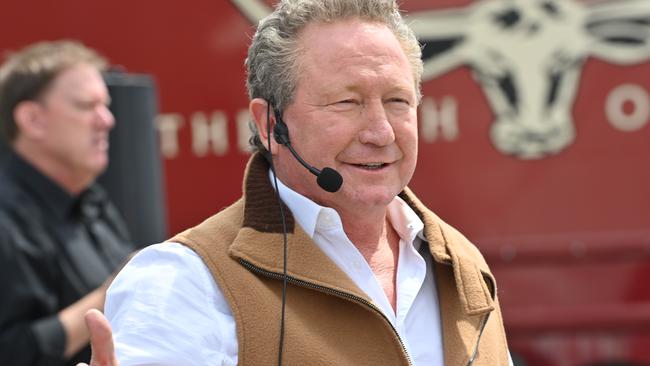 Andrew Forrest. Picture: Keryn Stevens