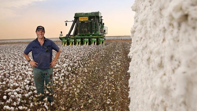 Australian cotton growers on cusp of largest crop on record, worth
