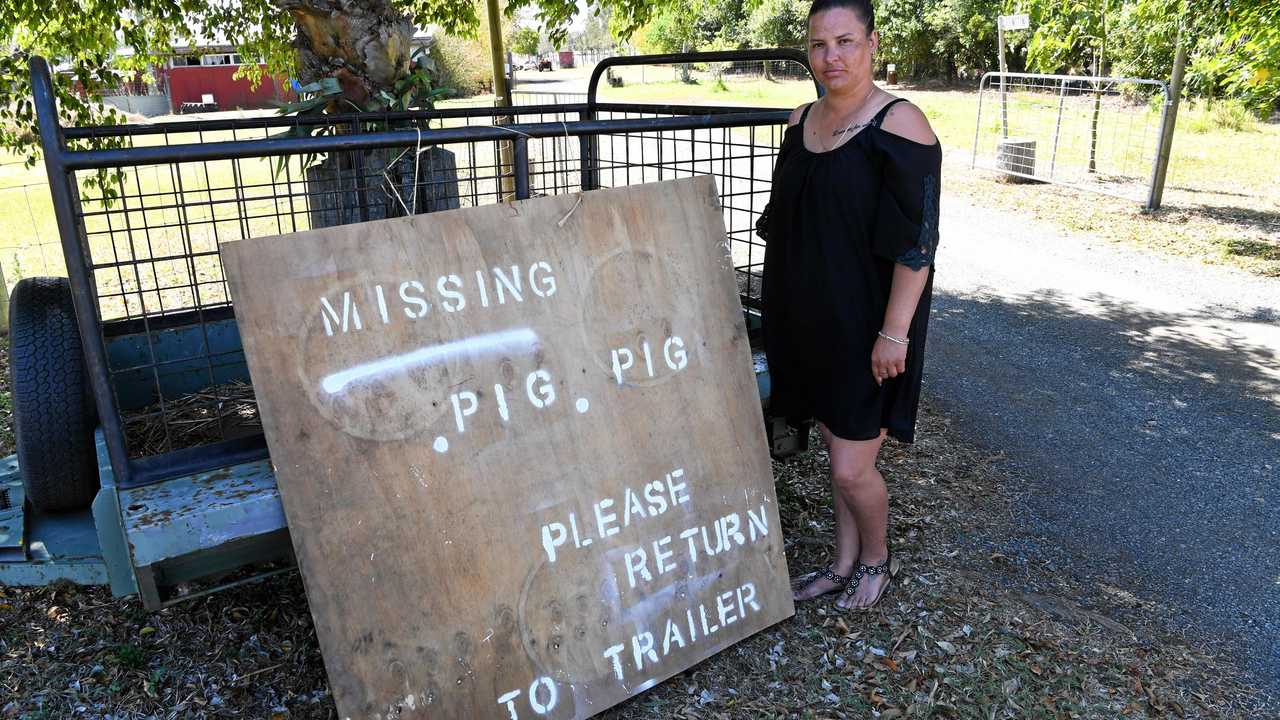 MISSING PIG: Tia Johnston wants her week-old piglet, which went missing on Thursday, returned to her Elliott Heads Rd home. Picture: Mike Knott BUN011018PIG1