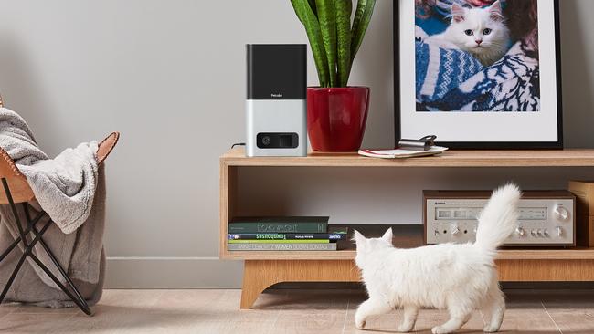 You’re being watched: internet-connected cameras such as the PetCube Bites keeps an eye on pets for you.