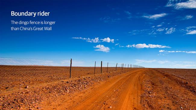 The Dingo Fence is 5350km long