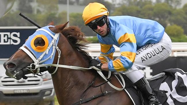 Orcein is in great form and will give rivals plenty to chase. Picture: AAP