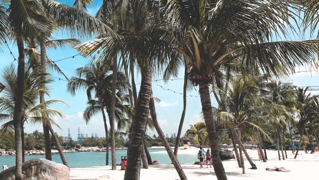 Best beaches in Singapore? On Sentosa Island
A popular getaway from the metropolis that is mainland Singapore, Sentosa Island has three beaches (Siloso, Tanjong and Palawan) to drop onto. Picture: Will Truettner/Unsplash