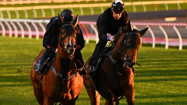 Damian Lane rode Moir Stakes contender Uncommon James while Billy Egan rode Appin Girl in a track gallop at The Valley on Monday morning. Picture: Getty Images.