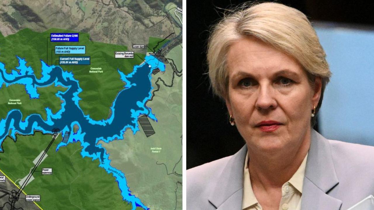 Driving plans to build a controversial $14 billion renewable energy plant at Borumba Dam says the project is still on track, despite key environmental reports still not yet submitted to the federal Minister Tanya Plibersek’s department.