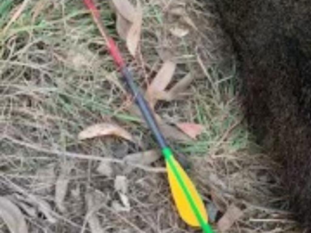 The arrow found next to the wallaby. Source: Department of Environment, Land, Water and Planning