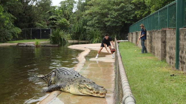 Freddy Webb shows off his basketball skills with monster croc, Speckles, at Crocodylus Park. Picture: Sam Lowe