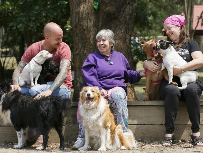 Dog owners who pay attention to their pets at the park will have a better experience. Picture: Tim Pascoe