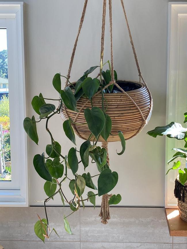 Valerie's Sunroom has plants both indoors and outdoors. Picture: Valerie’s Sunroom Instagram