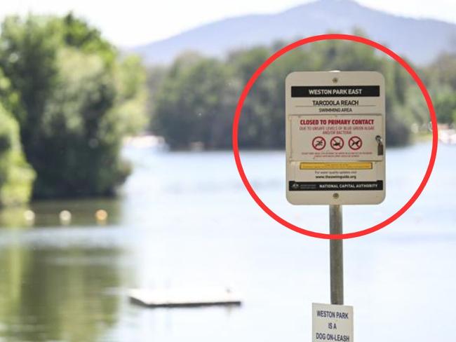 Multiple waterways in Canberra have been closed for swimming as rainfall created elevated bacteria levels.