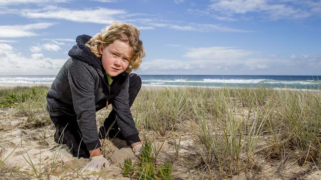 BeachCare, a program that restores the Gold Coast dunes and picks up litter, had its last event on the Gold Coast in June. Picture: Jerad Williams