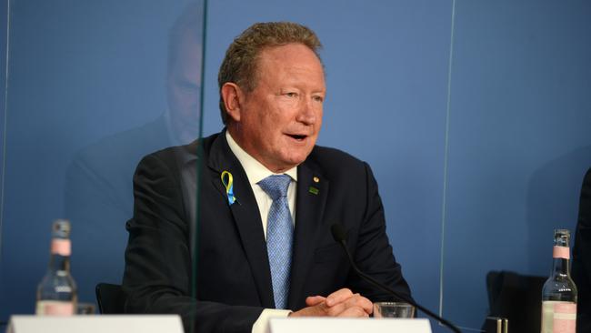 FFI chairman Andrew Forrest.