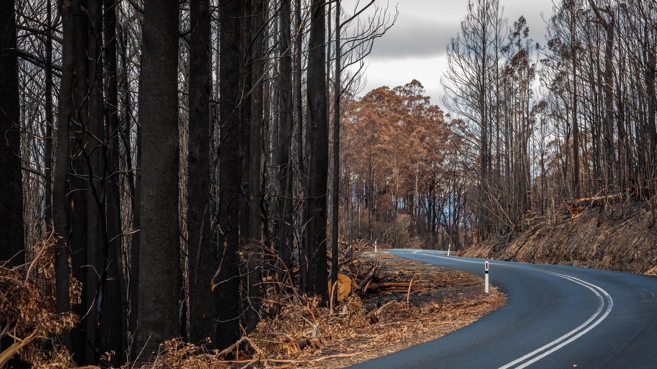 Gordon River Road. Images taken after the recent bushfires in southern Tasmania. Picture: GEOFF MURRAY ***SUPPLIED WITH PERMISSION FROM PHOTOGRAPHER FOR ONE TIME USE PRINT AND ONLINE***