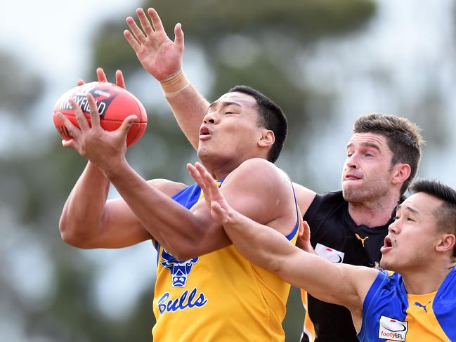 Piva Wright takes a big grab for Noble Park in 2016. Picture: Jason Sammon