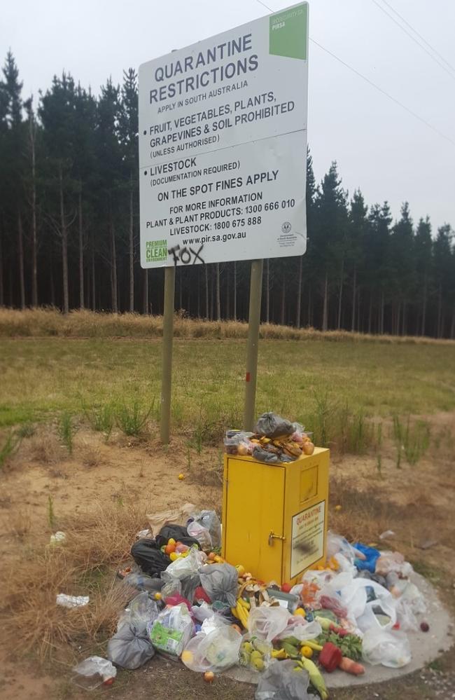 An overflowing fruit fly quarantine bin on the Princes Hwy between the Victorian Border and Mount Gambier pictured about 9am on December 31.