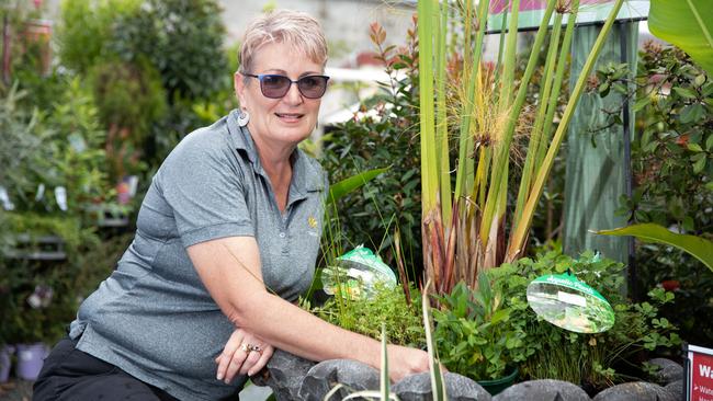 Redcliffe Garden Centre's Gena Campbell, with some water plants. Picture: Dominika Lis