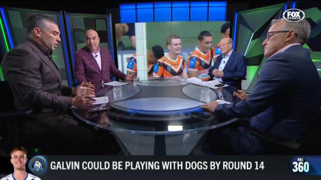 Will Galvin become Bulldogs' halfback?
