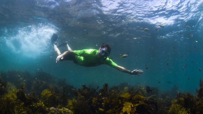 Tony Hawk explores Shelly Beach. Credit: Destination NSW