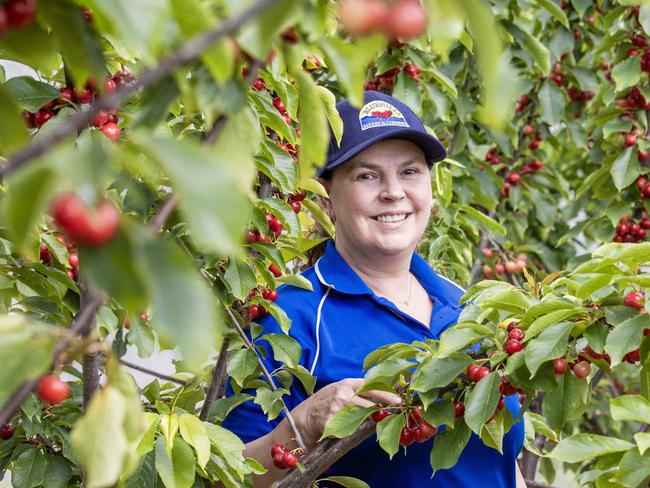 NEWS: Cherry SeasonCherry Season with Tracy ChapmanPICTURED: Cherry Season with Tracy ChapmanPicture: Zoe Phillips