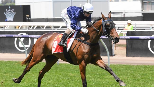 The Map ridden by Jamie Kah wins The Macca's Run at Flemington. Picture: Brett Holburt/Racing Photos via Getty Images