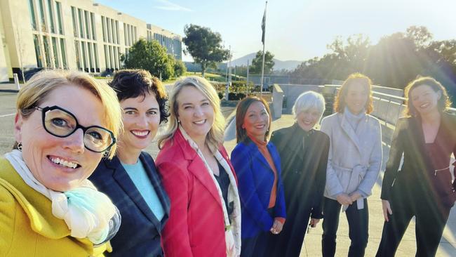 Newly-elected Independent MPs Zoe Daniel, Kate Chaney, Kylea Tink, Dai Le, Elizabeth Watson-Brown, Sophie Scamps and Allegra Spender. Picture: Twitter / Zoe Daniel