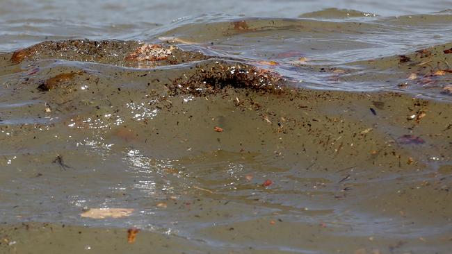 Thursday’s storm swamped the bay's beaches with pollution, leaves and dirt. Albert Park beach covered in mess. Picture: Stuart MIliigan