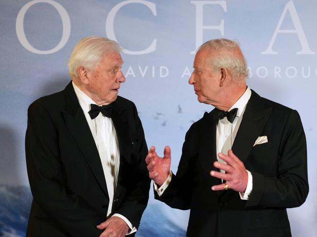 Sir David Attenborough chatted with the King before the screening. Picture: Alastair Grant - WPA Pool/Getty Images