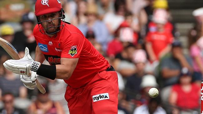 Aaron Finch during the Big Bash League (BBL) cricket match between the Melbourne Renegades and Brisbane Heat at Marvel Stadium.