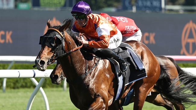 El Castello wins the Spring Champion Stakes at Randwick on October 26. Picture: Jeremy Ng / Getty Images