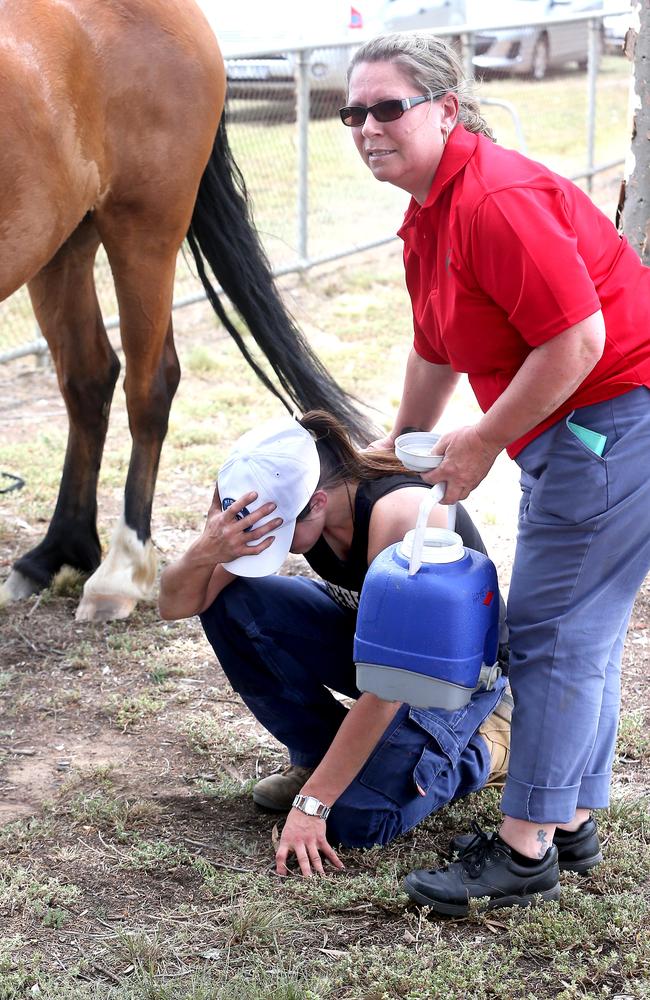 Jade Gonzalez fled the fire with her horses with only minutes to spare. Picture: Glenn Ferguson