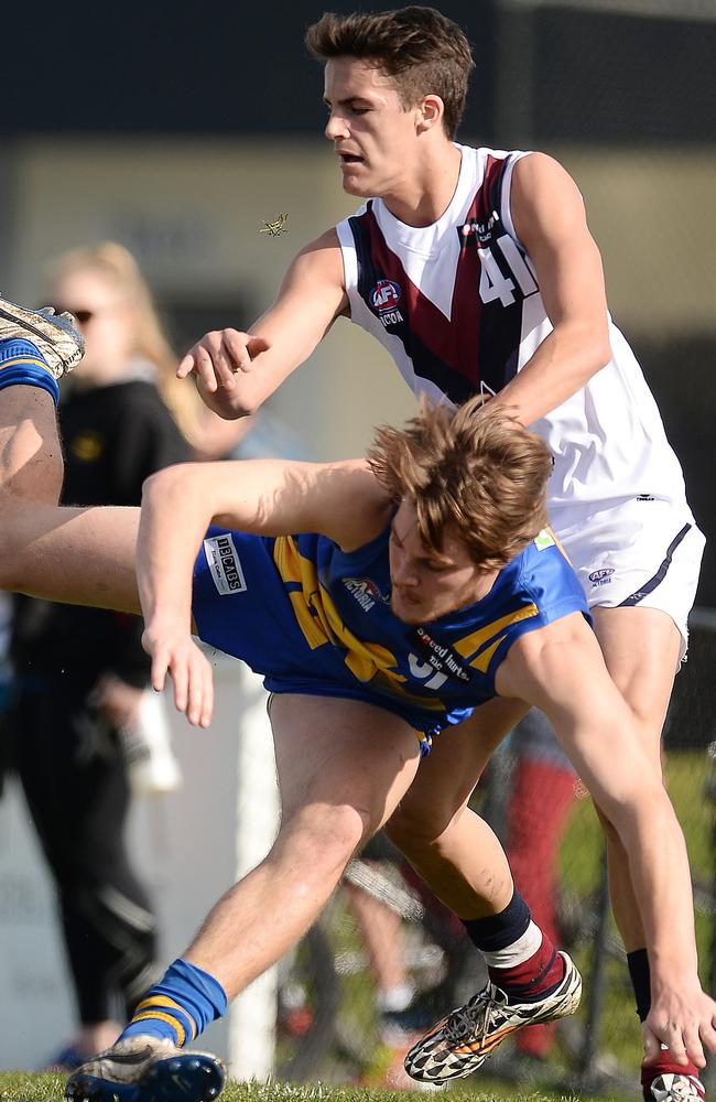 Harley Balic playing for Sandringham Dragons.