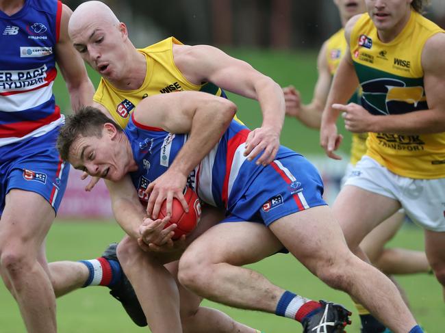 Adam D'Aloia from the Eagles and Harry Grant from the Bulldogs during the Round 10 SANFL match between Central Districts and the Eagles at Elizabeth Oval in Adelaide, Saturday, June 17, 2023. (SANFL Image/David Mariuz)