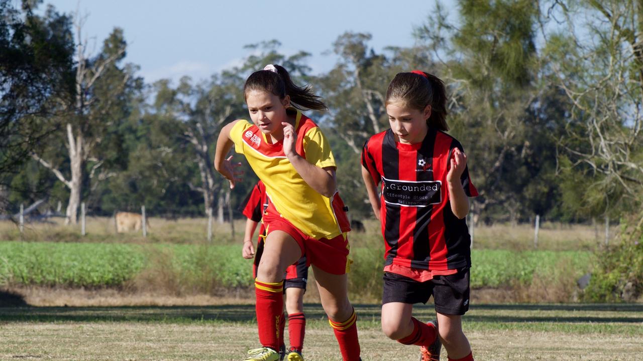 Woodburn Wolves wolf packs in action | Daily Telegraph