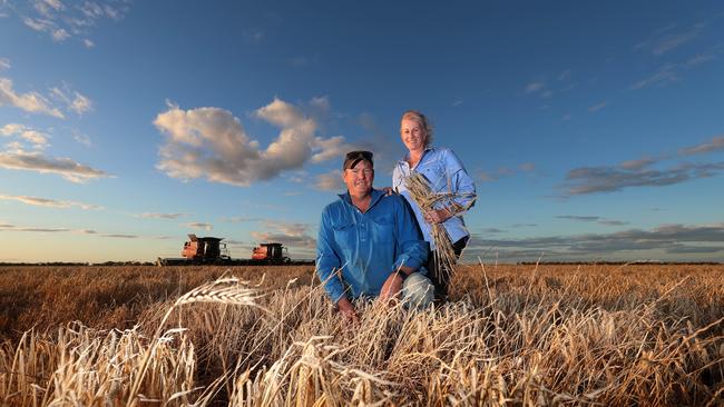 Rick and Dianne Sheahan of Morning Quest at Dumosa. Picture: Yuri Kouzmin