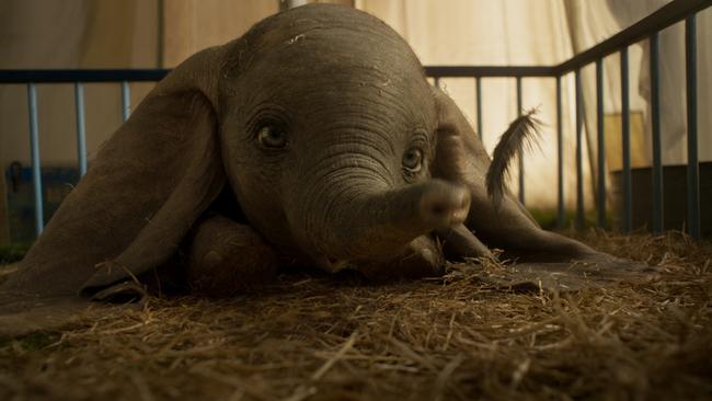 Dumbo is a special effects work of art.