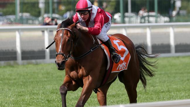 Arcadia Queen, ridden by William Pike, takes out the Caulfield Stakes last month.