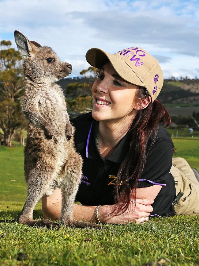 Zoodoo’s Donna Cuttriss with Kiki, an orphaned eastern grey joey. Picture: SAM ROSEWARNE.