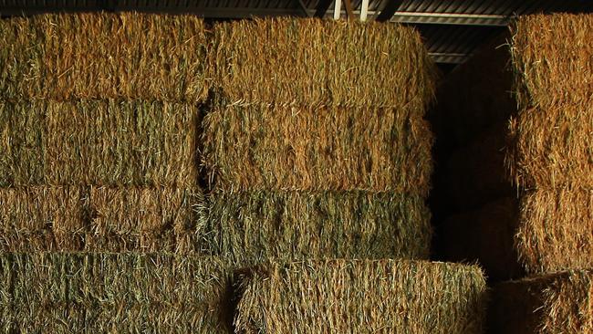 12/11/2015 Hay Australia director Andrew Bolt in their new hay processing facility in Bridgewater, 200km north west of Melbourne.  Hay exports are booming with increased demand from China, two years ago China imported around 30,000 tonnes, last year 120,000. Aaron Francis/The Australian