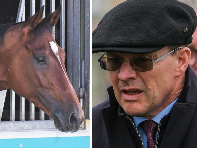 Trainer Aidan O'Brien is disappointed at the decision from vets to rule Jan Brueghel out of the 2024 Melbourne Cup.