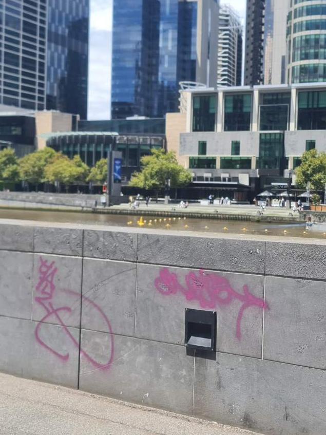 Graffiti remains in public thoroughfares. Picture: supplied