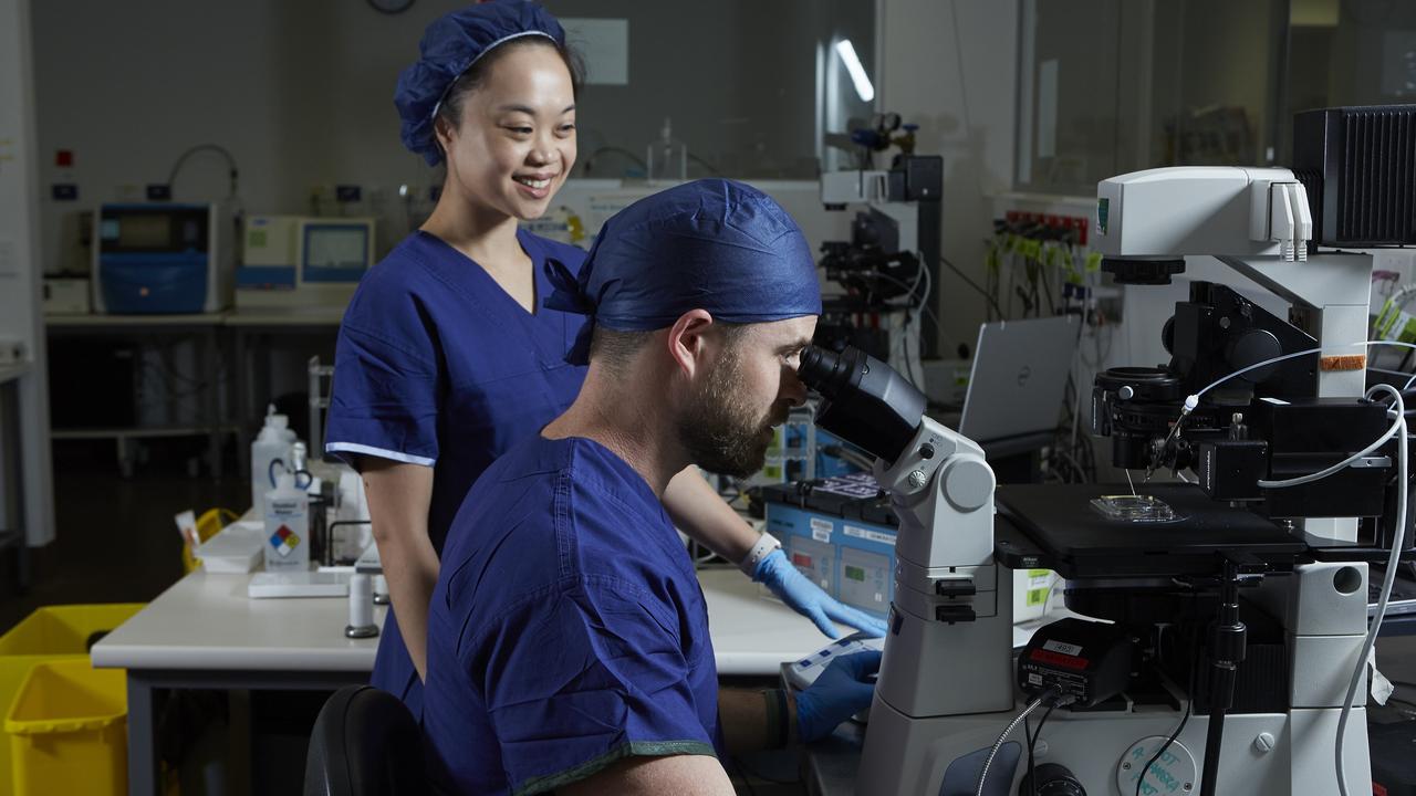 An embryologist checks sperm viability under the microscope. Image: Virtus Health